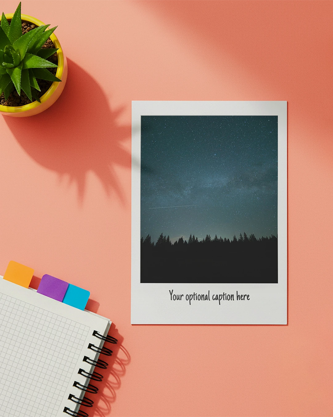 A coral background holds a polaroid photo mockup, and potted succulent. A notepad with colorful tabs lies in the corner, creating a vibrant, organized vibe.